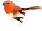 Christmas Robins Clip On decorations