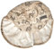 Sterntaler Jungen Schirmmütze mit Nackenschutz Savanne Sonnenhut, beige, 49
