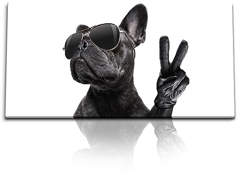 Paul Sinus Kunstdruck Bilder 120x60cm Französische Bulldogge kleiner Hund mit Sonnenbrille