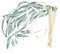 NJIEzhao Serpentin Mariage Baguettes de Ruban de Mariage, 50/20/10 pièces, bâton avec Cloches for fête de Mariage, Blanc et Vert(10pcs)