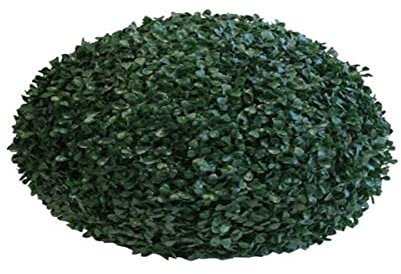 Papillon Sfera di bosso Sintetico ø55cm Colore Verde