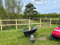 Half Round Fence Rails | 1.8m (6ft) x 100mm | 10 Pack | Pressure Treated Wooden Stakes