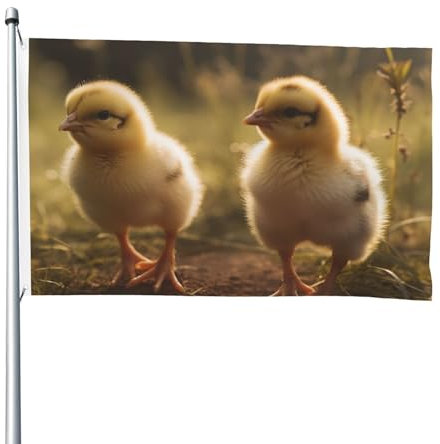 Flagge, 1,2 x 1,8 m, für den Außenbereich, Banner, Küken im Feld, Gartenflagge, Willkommensbanner für Zuhause, Garten, Hof, Rasen, Dekoration, Flaggen, Innen- und Außenbereich, doppelseitiger Druck