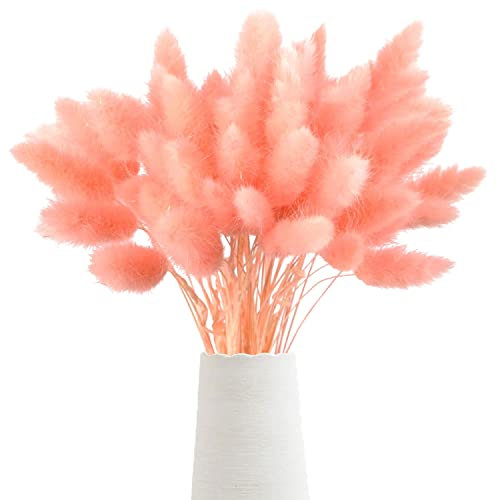 Sunshine smile 60Pcs Getrocknetes Pampasgras,Trockenblumen Bodenvase,Natürlich Pampasgras Blumenstrauß,Trockenblumen Blumenstrauß Deko,Künstlich Groß Trockenblumen,Trockenblumen Pampasgras