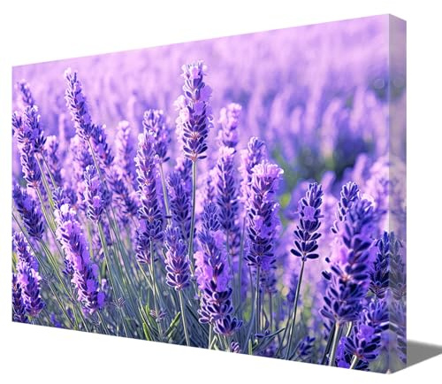 ZQQART Lila Lavendel Leinwanddrucke Bauernhaus Blumenbilder rustikales Lavendelfeld Landschaftsgemälde für Wohnzimmer Küche Badezimmer Büro Zuhause Wanddekoration gerahmt (Lavendel-A,30x45cm)