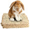 Amexo 5 Pièces Tapis d'herbe pour Les Lapins Tapis d'herbe pour Petit Animal Sûrs Comestibles Lapins Jouets à Mâcher Tapis d'herbe Tissé Naturel pour Hamster Lapins Cochon d'Inde Chinchilla