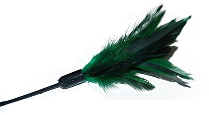 Nobby Jouet Canne à Pêche/Plumeau pour Chat Vert