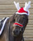 ARBO-INOX Rentierhaube Pferdeschmuck Weihnachtsschmuck für Pferde (Pony)