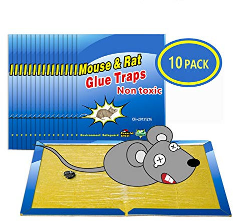 Wanke Trampas para Ratones 10 Piezas Almohadilla Pegajosa de Ratón Colector de Ratón Control de Ratones Súper Pegajoso 8x12