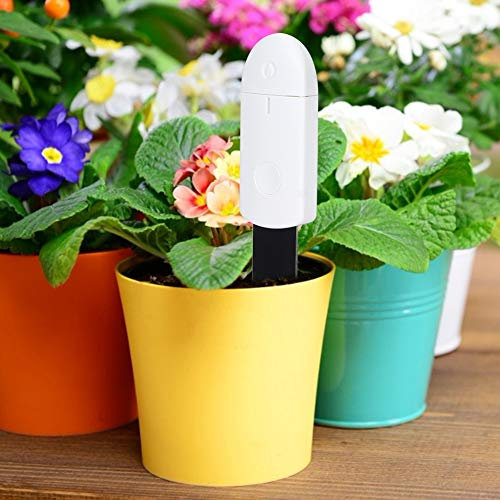 aqxreight Hygromètre pour Plantes, Testeur d'humidité du Sol pour Plantes de Jardin, Surveillance en Temps Réel avec Indicateurs Rouge, Vert et Bleu, Conception Anti-éclaboussures,