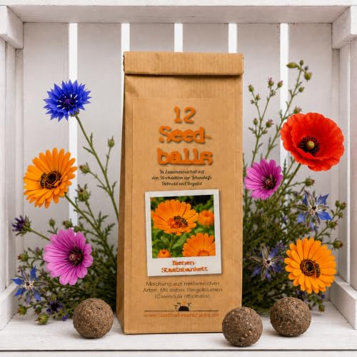 12 Seedballs Beenenstaatsbankett - Flores silvestres ricas en néctar para abejas y abejorros