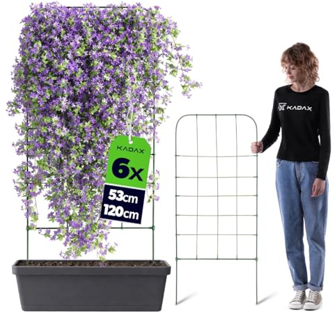 KADAX 6er Set Rankgitter 53 x 120 cm, Rankhilfe für Kletterpflanzen wie Bohnen & Erbsen, Pflanzenstütze aus beschichtetem Metall, Pflanzengitter für Pflanzkübel