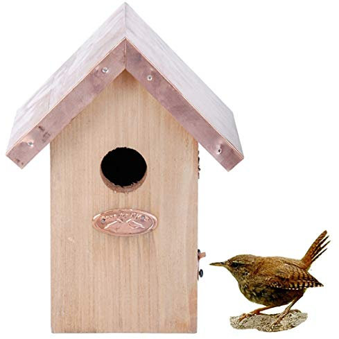 Kupfer Dach Vogelhaus Zaunkönig