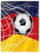 YISUMEI Decke 125x150 cm Kuscheldecken Sanft Flanell Weich Fleecedecke Bettüberwurf Fußball Deutsche Flagge Net