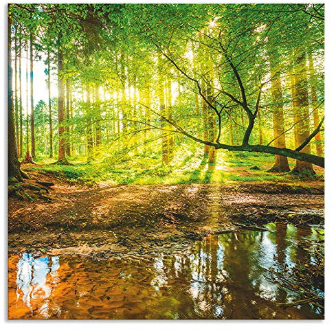 ARTland Spritzschutz Küchenrückwand aus Alu für Küche Herd Spüle 60x60 cm (BxH) mit Motiv Natur Landschaft Wald Bäume Sonne Bach Landhaus Grün T9IO