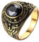 OAKKY Herren Edelstahl Weinlese Amerikanische Soldaten Eagle Set mit Edelstein Ring Schwarz Gold Überzogen Größe 70 (22.3)