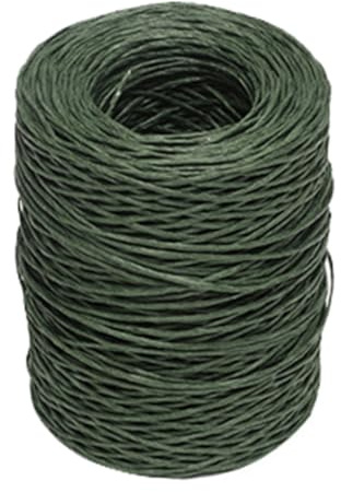 Wisafory 200M Papierdraht zum Basteln Natur Papierkordel mit Draht Blumendraht Eisendraht Dekodraht Papierwickeldraht Papier Bindedraht Bastelschnur für DIY Blumensträuße Ø1.5mm Grün