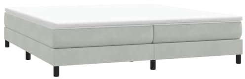 vidaXL Boxspringbett ohne Matratze Hellgrau 200x210 cm Samt, Bett, Bettgestell, Doppelbett, Schlafzimmermöbel, Bettrahmen, Samtbett, Polsterbett