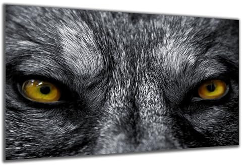 DARO Design - Wand-Bild auf 6mm HDF 30x20 cm Wolf Augen Frontal - Wand-Deko Bilder Geschenk