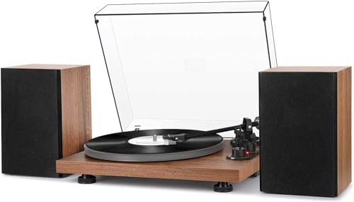 Udreamer Vinyl Plattenspieler QingG FPZL 006