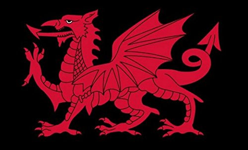 U24 Flagge Fahne Wales Dragon Schwarz Drachen 90 x 150 cm