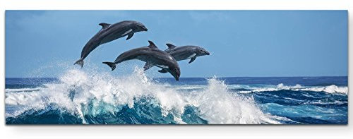 Eau Zone Wandbild auf Leinwand 150x50cm springende Delphine