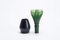 Matcha Tea Whisk Made of Dishwasher Safe Polypropylene PlasticFugestu Chasen Made in Japan [Forest Green]