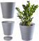 KADAX Pot de Fleurs en Plastique avec Soucoupe Incorporée, Pot de Plantes avec Conception Raffinée pour la Décoration d'Intérieur (17 cm, Gris)