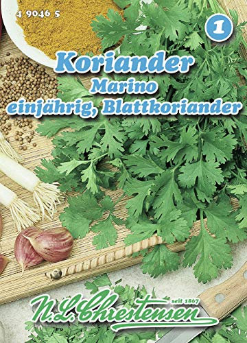 Koriander, Marino (Blattkoriander) - (Portion)