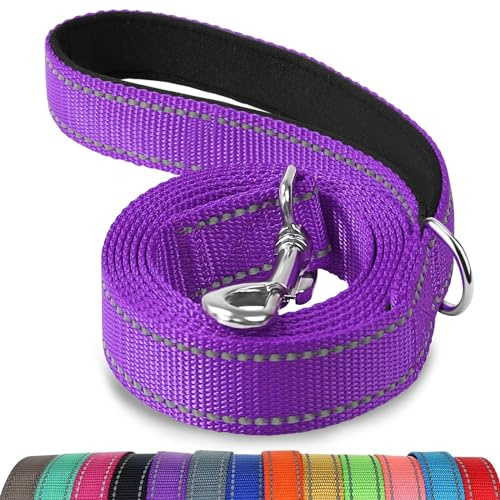 Joytale Double-Sided Reflective Dog Leash, 6 FT/5FT/4 FT, Padded Handle Nylon Dogs Leashes for Walking, Training Lead for Small & Medium Dogs, Purple, 5FT