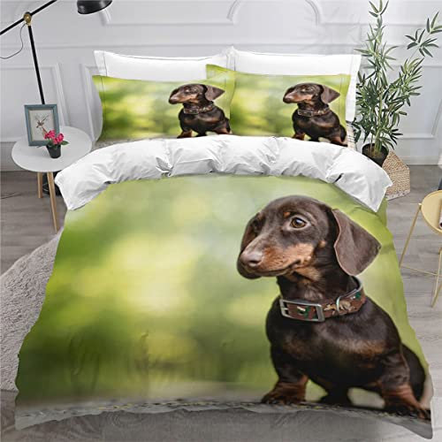 Bassotto Set di biancheria da letto matrimoniale in morbida microfibra 3 pezzi set copripiumino marrone chiusura a cerniera stampa cane matrimoniale piccolo copripiumino matrimoniale