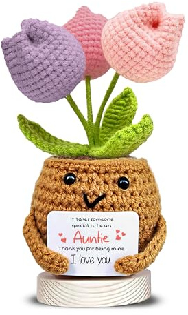 Handmade Crochet Flower Pot Plush with “Auntie” Message – Cute Crochet Tulip Gift, Aunt Appreciation Gift, Thank You Aunt Present, Handmade Desk Decor