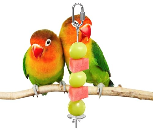 Mangeoire À Brochettes pour Perroquets - Support De Nourriture pour Oiseaux - Support De Nourriture pour Cage À Oiseaux - Brochette De Fruits Et Légumes pour Perroquets | Bâton De Mangeoire À Légumes