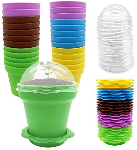 PURPLE STAR 1N 25 Pack Cupcake Plant Nursery Pots with Humidity Dome-Small Flower Pots with Saucers-Planting Containers Cups for Indoor Outdoor Plant Succulent Display (Multicolor)