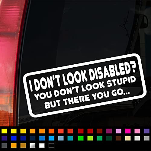 Not All Disabilities are Visible Car Sticker, Disabled Sticker Decal, Car Window Bumper Sticker, Caravan Sticker, 200mm