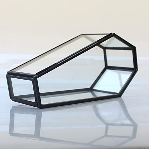 libproqia Joyero pequeño de cristal de ataúd negro con diseño de ataúd de cristal, terrario gótico, para Halloween, almacenamiento vintage, caja de ataúd de cristal, organizador de recuerdos de