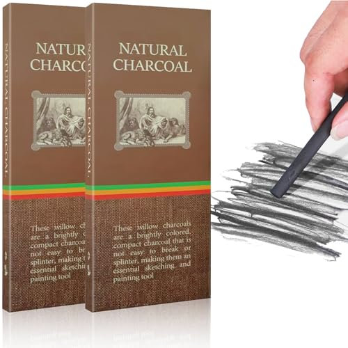 20 PCS Charcoal Sticks, 5-7mm Black Willow Charcoal, Drawing Tools Charcoal Pencils for Artists Students and Hobbyists