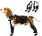 Hundeschuhe Pfotenschutz Outdoor, 2025 Neu Suspender Dog Boots, Hundesocken Anti Rutsch Pfotenschutz, Hundeschuhe Winter Outdoor für Kleine, Mittlere und Große Hunde (S)