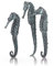 biOrb 55064 Seepferdchen 3er-Set, schwarz - Seepferdchen-Skulpturen Set, Aquarium Ornament, Gestaltung von Süßwasseraquarien und Meerwasseraquarien