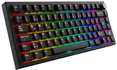Sharkoon SGK55W Gaming Tastatur kabellose im 75%-Layout mit PBT-Tastenkappen (4044951045631)
