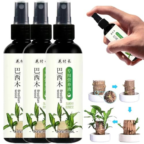Lot de 3 engrais pour plantes en bois brésilien, engrais pour plantes d'intérieur pour bambou porte-bonheur, engrais pour plantes d'intérieur en bois brésilien, engrais liquide pour plantes d'intérieu