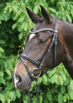 Hans Melzer Horse Equipment Trense Valluhn schwarz/silber englisches Reithalfter XFull, schwarz/silber, Extra Warmblut