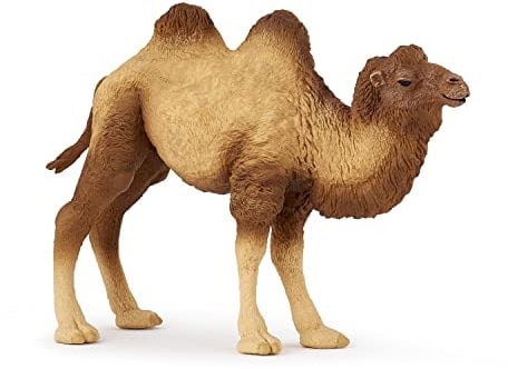 Papo -Handbemalt - Figuren -Wildtiere Der Welt-Baktrisches Kamel -50129-Sammelbar-Für Kinder - Geeignet für Jungen und Mädchen - Ab 3 Jahren