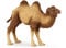 Papo -Handbemalt - Figuren -Wildtiere Der Welt-Baktrisches Kamel -50129-Sammelbar-Für Kinder - Geeignet für Jungen und Mädchen - Ab 3 Jahren