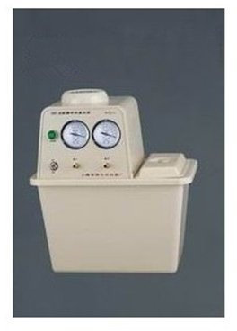 GOWE Circulation Water Vacuum Pump
