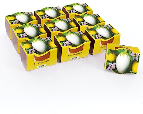 Bull & Bear Mini Pflanzset Eierbaum Samen 10er Set, 10 Tontöpfchen mit Eierbaumsamen, Pflanzsubstrat und Pflegeanleitung