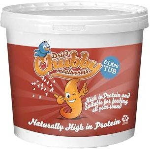 Chubby Mealworms (1 Litre), Dried Mealworms For Wild Birds, Protein Rich Dried Meal Worm High Energy for WildBirds, Reptiles, Gecko