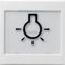 Gira 021603 Wippe abtastbar BSF Symbol Licht System 55, reinweiß