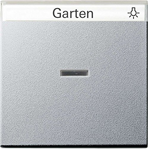 Gira 067026 Wippe Kontroll Beschriftungsfeld System 55, alu