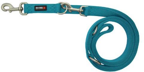 Wolters Cat&Dog Professional 27053 Führleine Classic Gr.M lang 300cm x 15mm aqua